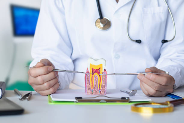 Best Emergency Treatment for Toothache in Cold Spring, NY